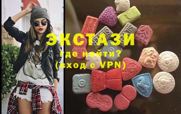 шишки Надым