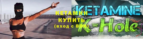 шишки Надым