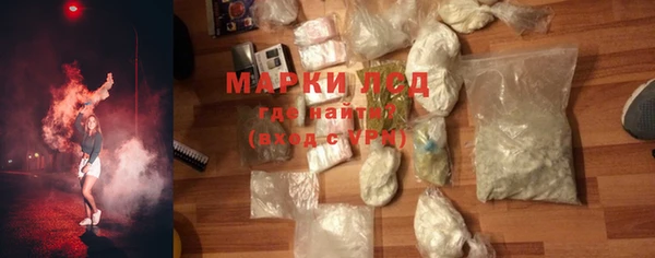 шишки Надым