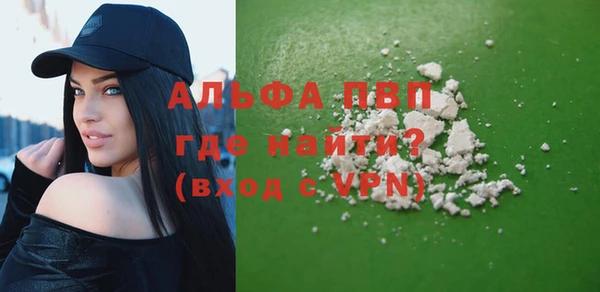 шишки Надым