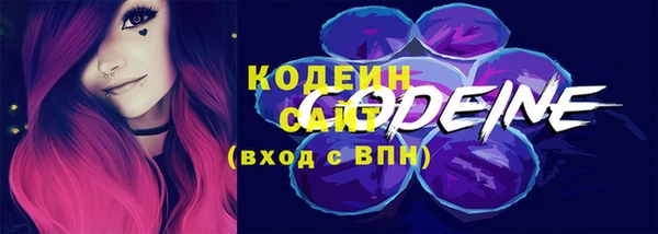 шишки Надым