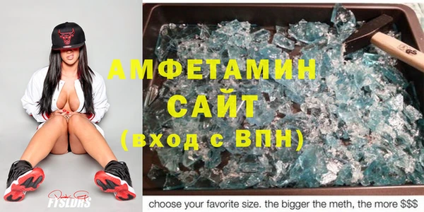 шишки Надым