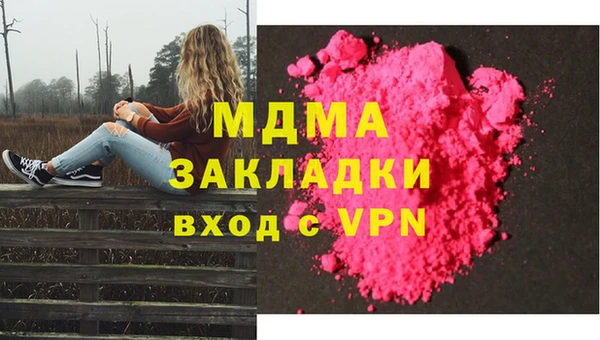 шишки Надым