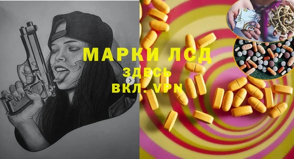шишки Надым