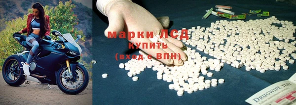 шишки Надым