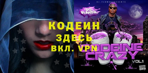 шишки Надым