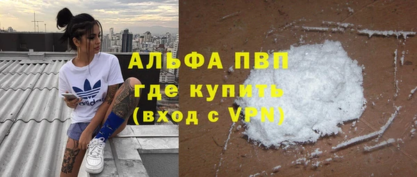 шишки Надым