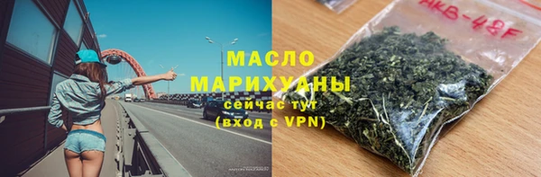 шишки Надым