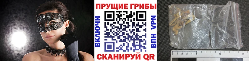 Псилоцибиновые грибы Psilocybe  Стерлитамак 